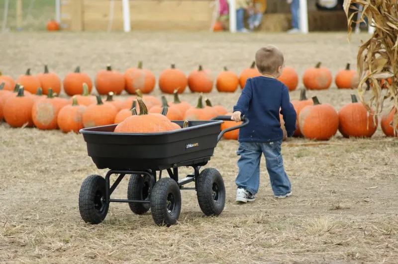 Odyssey Fun Farm
