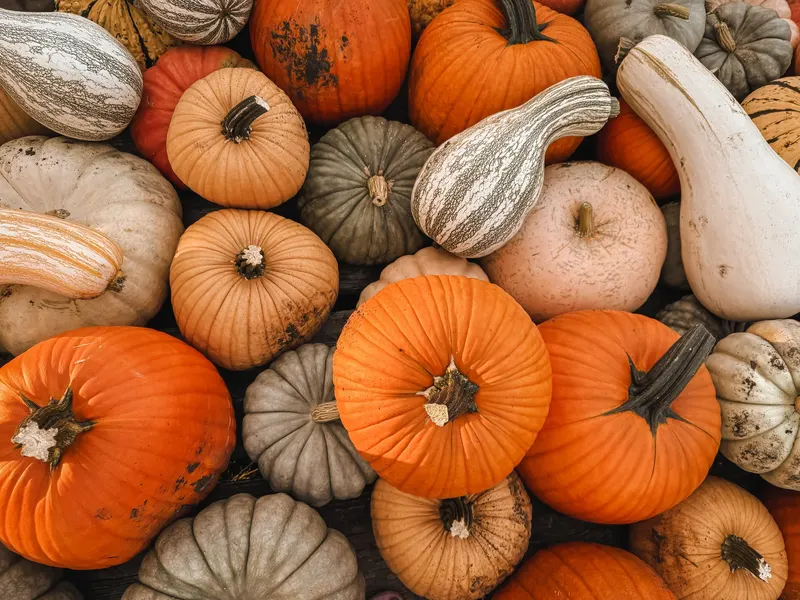 Parkside Farm Stand photo