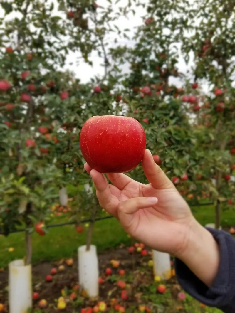 Prairie Sky Orchard