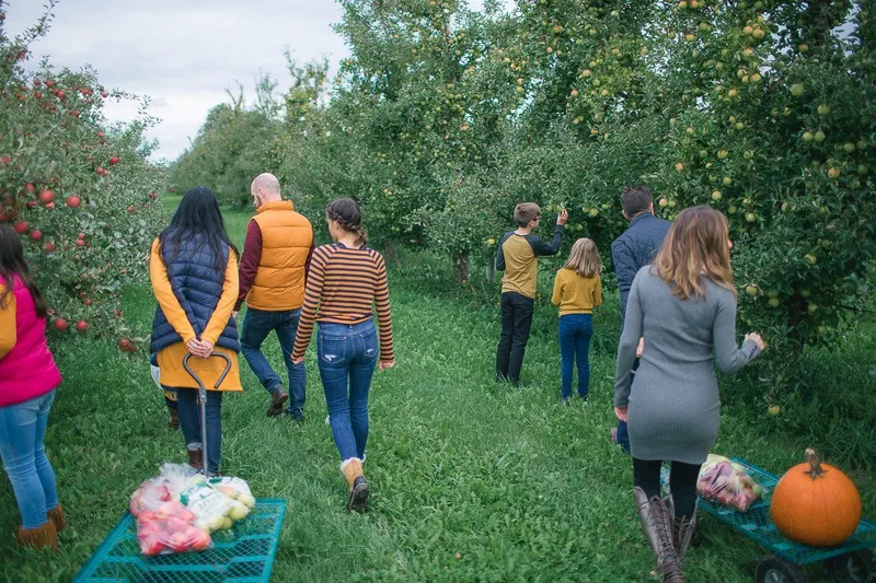Royal Oak Farm Orchard