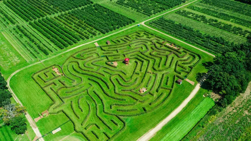 Royal Oak Farm Orchard photo