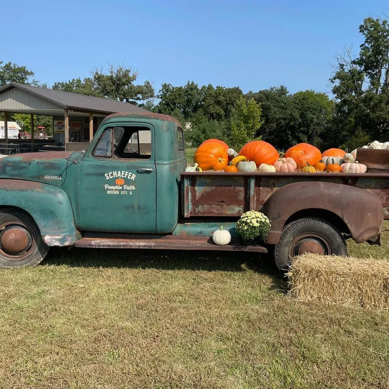 Schaefer Pumpkin Patch
