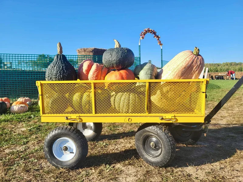 Streif's Country Market photo