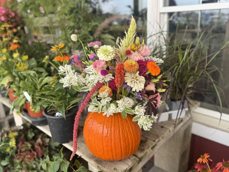 Tom's Farm Market and Greenhouses, Inc