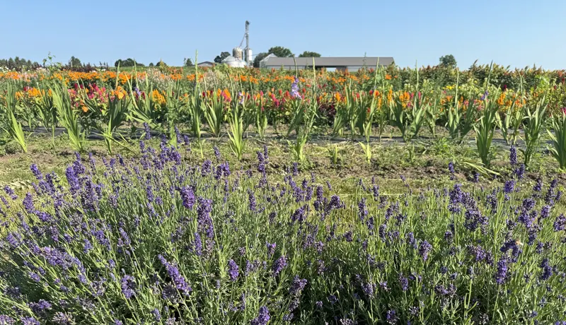 Von Bergen's Country Market photo