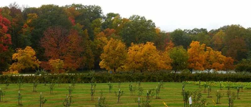 Anderson Orchard photo