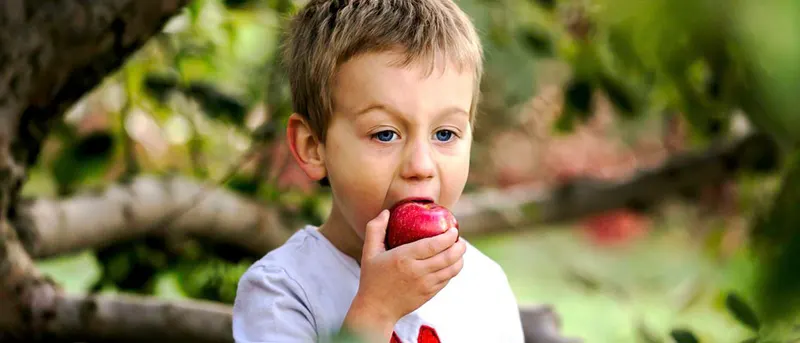 Anderson Orchard photo