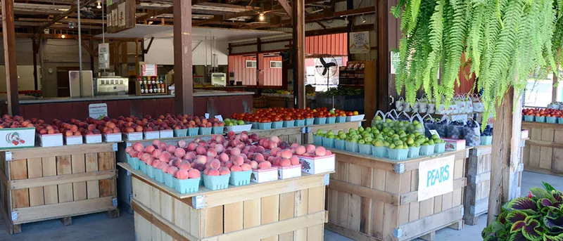 Anderson Orchard photo