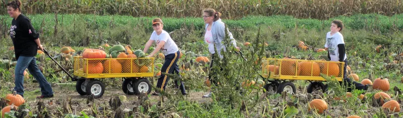 Armands Harper Valley Farms photo