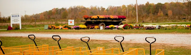 Armands Harper Valley Farms photo