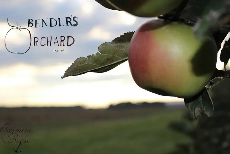 Bender's Orchard photo