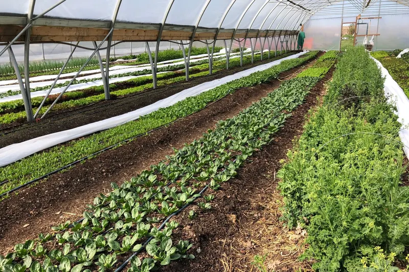 Berry Hill Farm photo