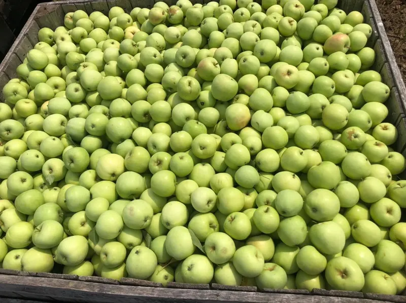 Chandler's Orchard & Country Market