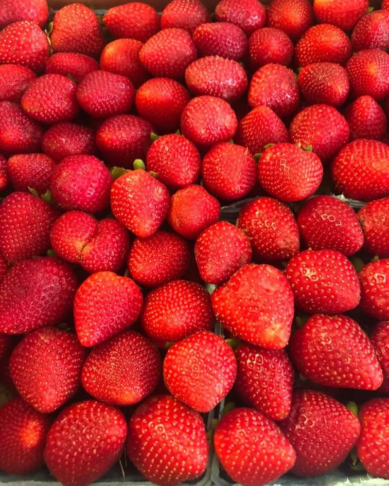 Chandler's Orchard & Country Market photo