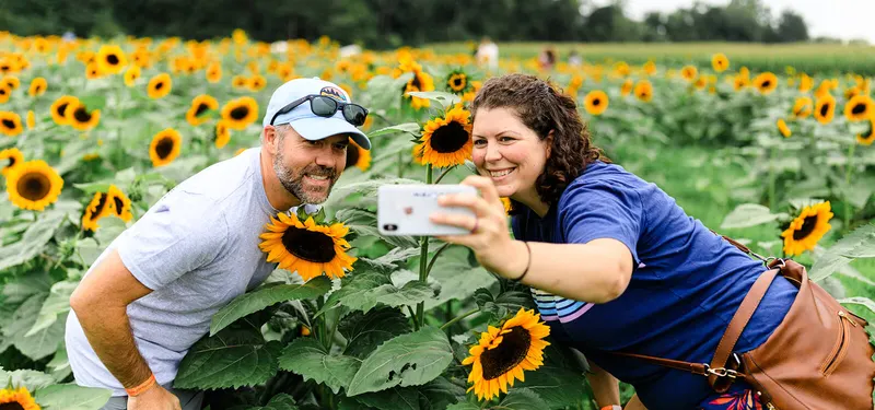 Cornucopia Farm photo