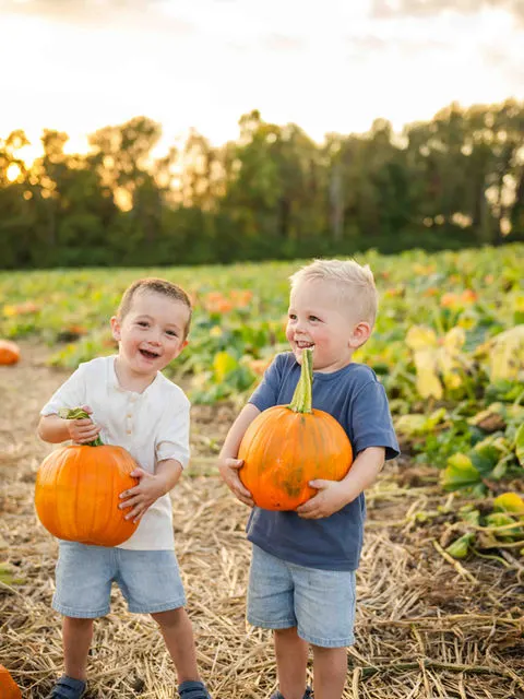 Dull's Tree Farm and Pumpkin Harvest photo
