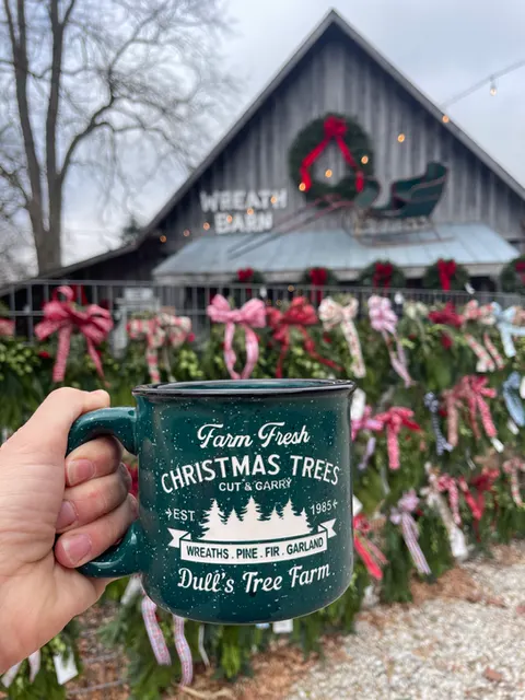 Dull's Tree Farm and Pumpkin Harvest photo