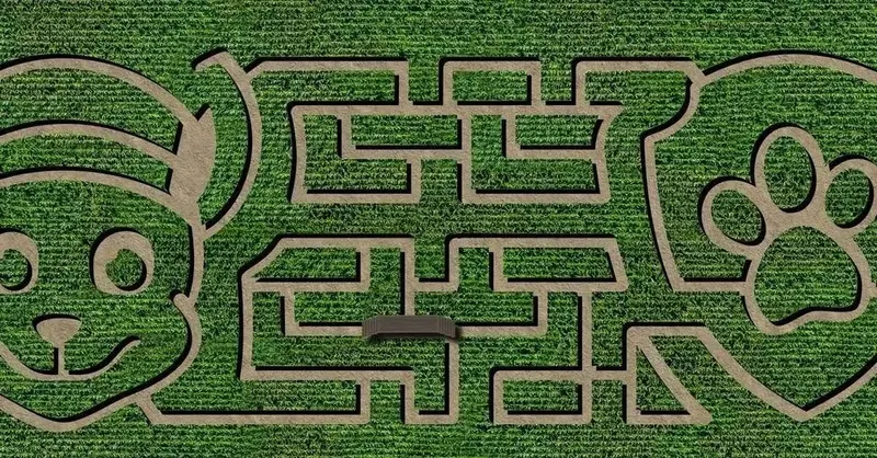East Union Farms Pumpkin Patch photo
