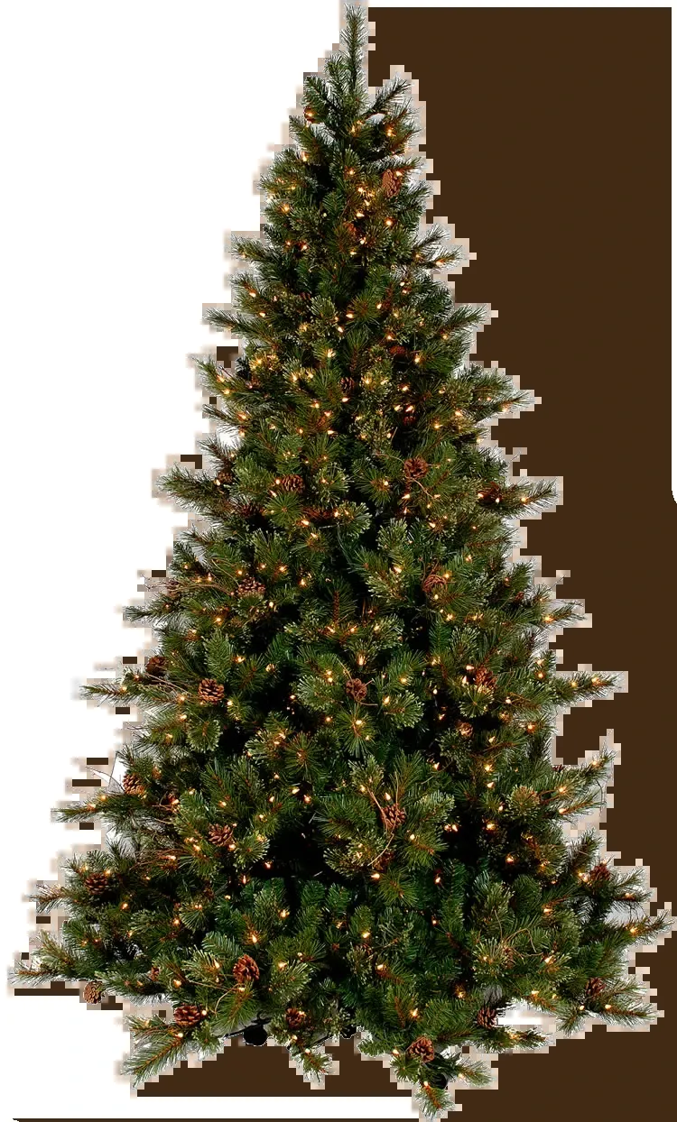 Eby's Evergreen Plantation