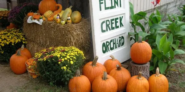 Flint Creek Orchard LLC photo
