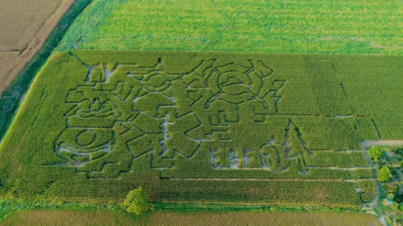 Goebel Farms photo
