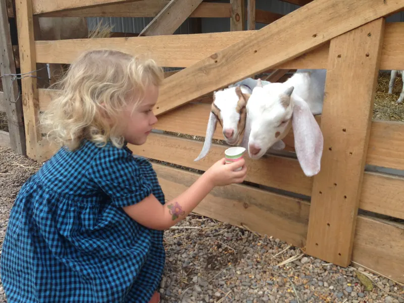 Goebel Farms photo
