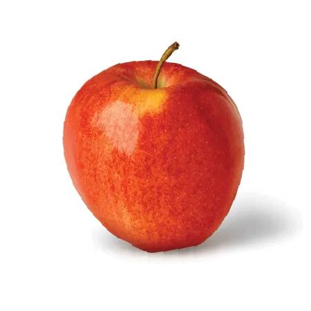 Hainlen Orchard