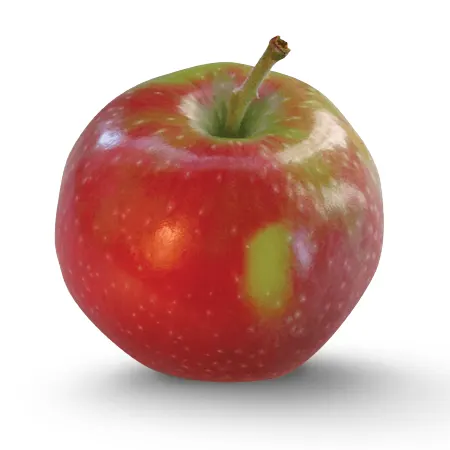 Hainlen Orchard photo