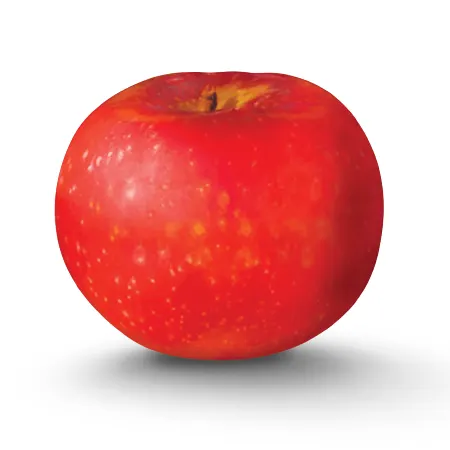 Hainlen Orchard photo