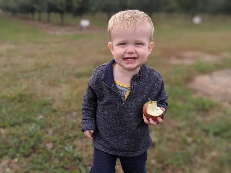 Harker Family Orchard, Inc. photo