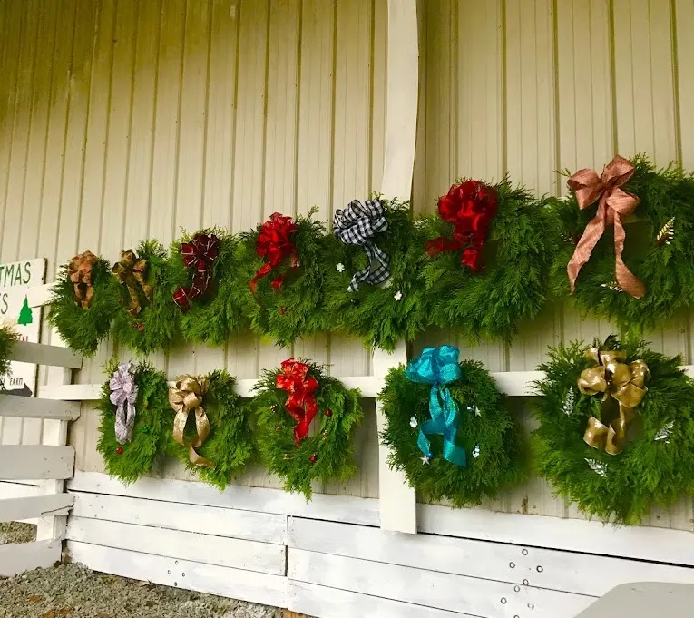 Hatton Christmas Trees