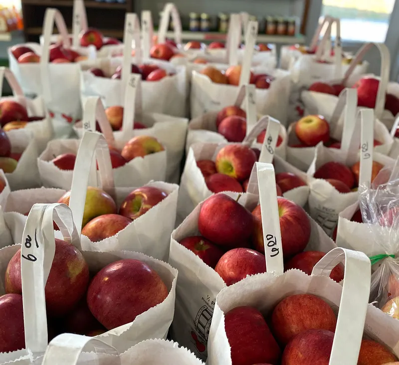 Jacobs' Family Orchard photo