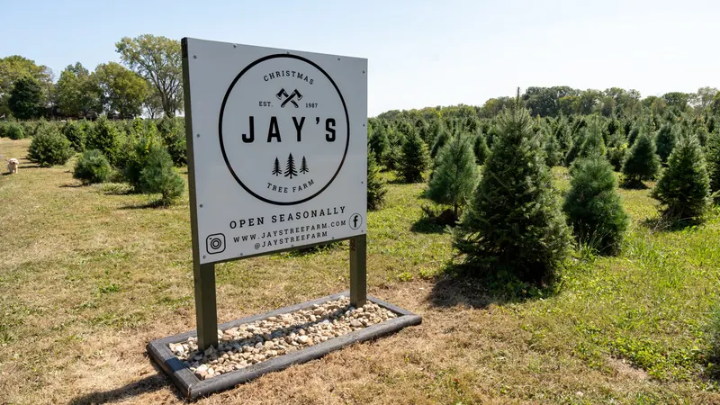 Jay's Tree Farm photo