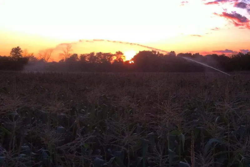 Kurtz Produce photo