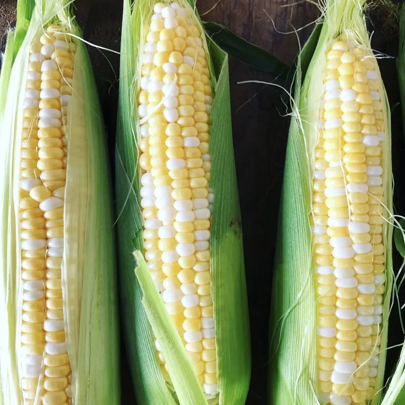 Kurtz Produce photo