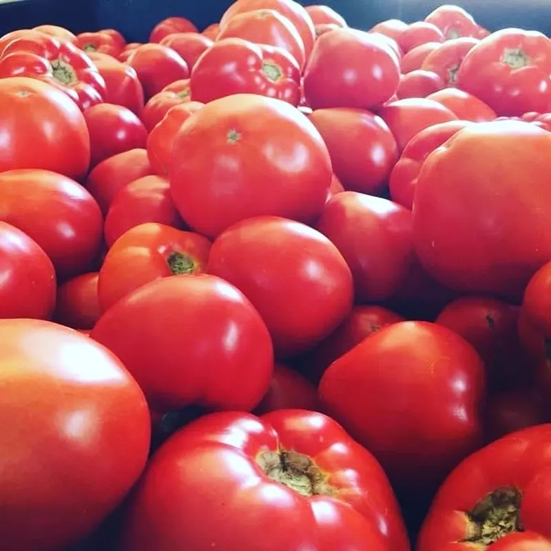 Kurtz Produce photo
