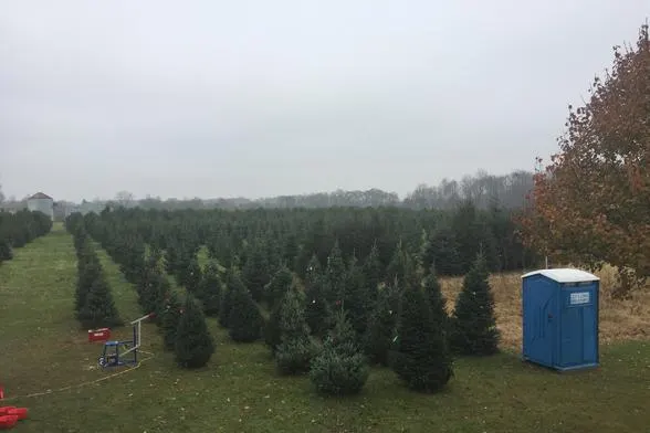 Liberty Christmas Tree Farm