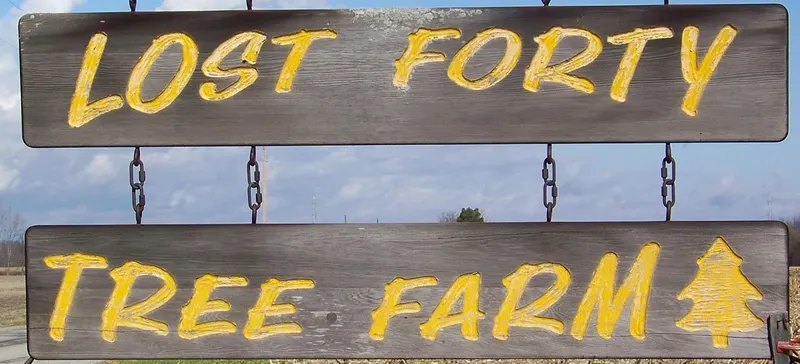 Lost Forty Tree Farm