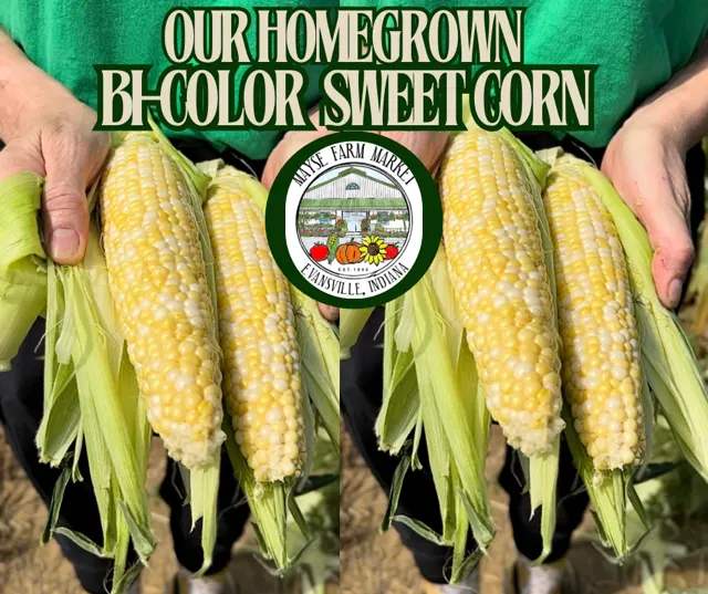 Mayse Farm Market LLC photo