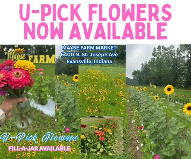 Mayse Farm Market LLC photo