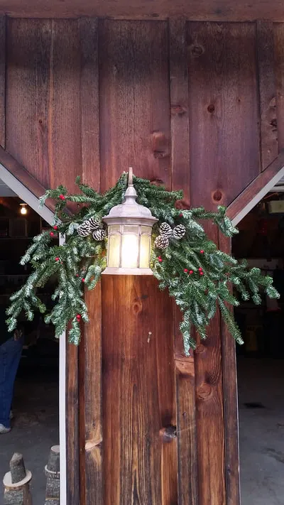 Mcclure Christmas Tree Farm LLC photo