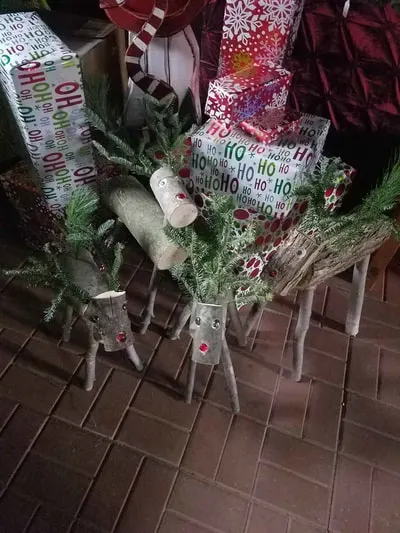 Mcclure Christmas Tree Farm LLC photo