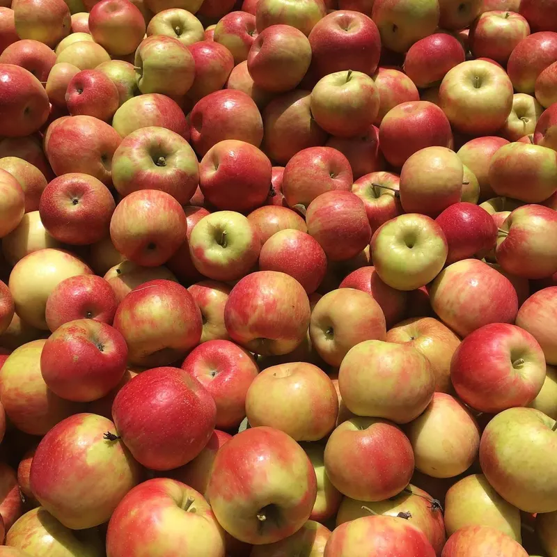 McClure's Orchard/Winery photo