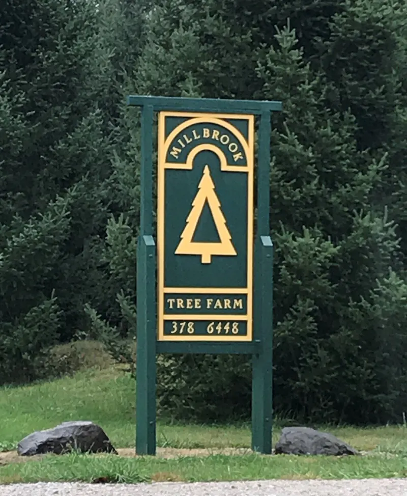 Millbrook Tree Farm photo