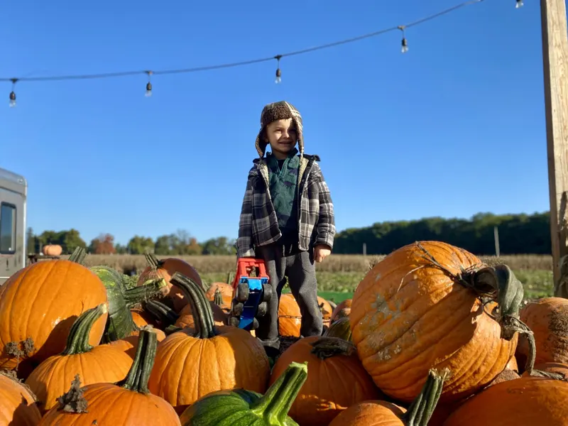 Oak Hill Tree Farm - Ucut and fresh trees