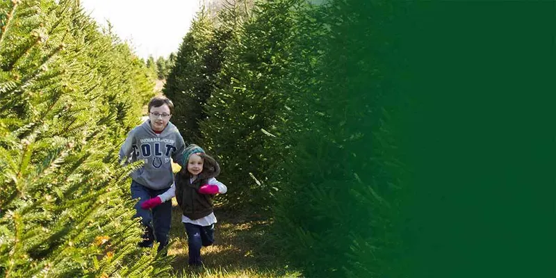 Piney Acres Tree Farm photo