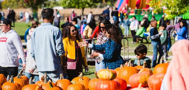 Russell Farms Pumpkin Patch photo