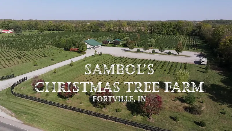 Sambol's Tree Farm photo