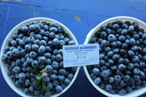 STATELINE BLUEBERRIES