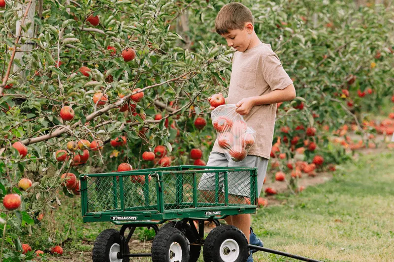 The Orchard at Fair Oaks Farms photo